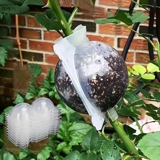 4pcs Reusable Plant Rooting Grow Propagation