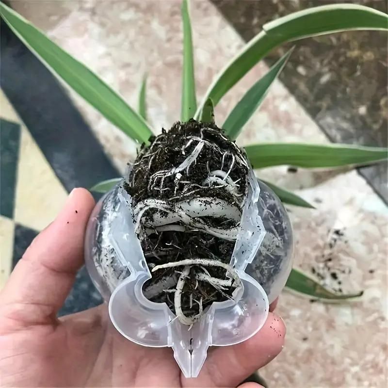 4pcs Reusable Plant Rooting Grow Propagation