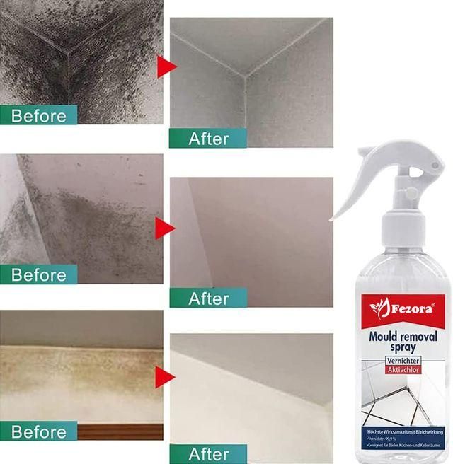 Fezora Powerful Mold Remover Spray